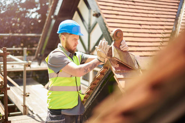 Roof Gutter Cleaning in Colonia, NJ